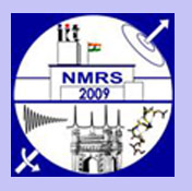 CLICK here to display the webpage for NMRS2008 participation
